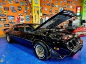 1981 Pontiac Firebird