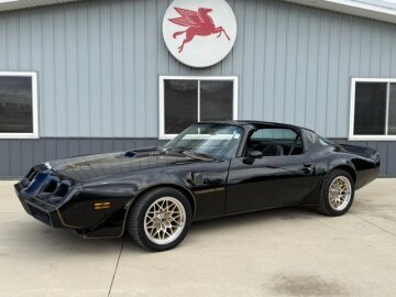 1981 Pontiac Firebird Trans Am