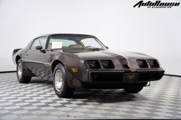 1981 Pontiac Firebird Trans Am