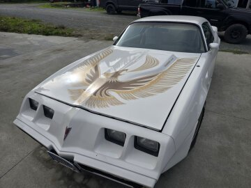 1981 Pontiac Firebird Trans Am