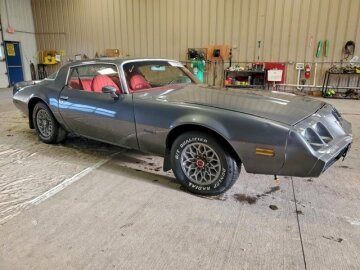 1981 Pontiac Firebird