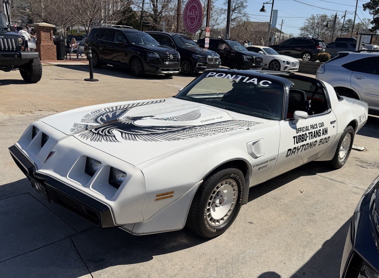 1981 Pontiac Firebird Trans Am Turbo Special