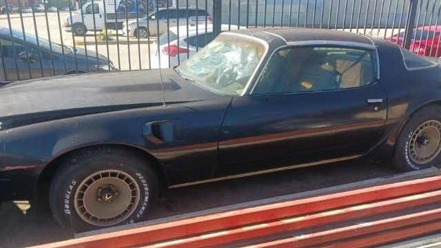 1981 Pontiac Firebird Trans Am