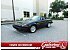 1981 Triumph TR7