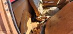 Thumbnail Photo 3 for 1981 Volkswagen Rabbit