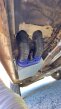 Thumbnail Photo 4 for 1981 Volkswagen Vanagon Camper for Sale by Owner