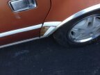 Thumbnail Photo 3 for 1982 AMC Concord Wagon