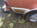 Thumbnail Photo 6 for 1982 AMC Concord Wagon