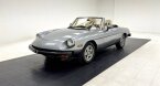 Thumbnail Photo 2 for 1982 Alfa Romeo Spider