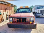 Thumbnail Photo 1 for 1982 Chevrolet C/K Truck