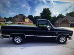 Thumbnail Photo 3 for 1982 Chevrolet C/K Truck
