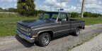 Thumbnail Photo 1 for 1982 Chevrolet C/K Truck