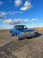 Thumbnail Photo 3 for 1982 Chevrolet C/K Truck