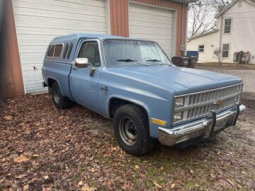 1982 Chevrolet C/K Truck 2WD Regular Cab 1500