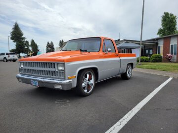 1982 Chevrolet C/K Truck 2WD Regular Cab 1500