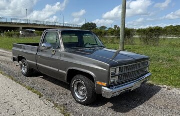 1982 Chevrolet C/K Truck