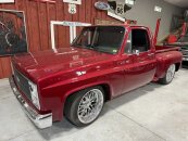 1982 Chevrolet C/K Truck 2WD Regular Cab 1500