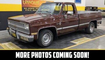 1982 Chevrolet C/K Truck 2WD Regular Cab 1500