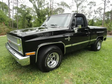 1982 Chevrolet C/K Truck