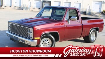 1982 Chevrolet C/K Truck 2WD Regular Cab 1500