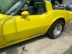 Thumbnail Photo 1 for 1982 Chevrolet Corvette Stingray