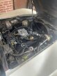 Thumbnail Photo 1 for 1982 Chevrolet Corvette