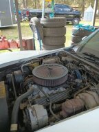 Thumbnail Photo 1 for 1982 Chevrolet Corvette