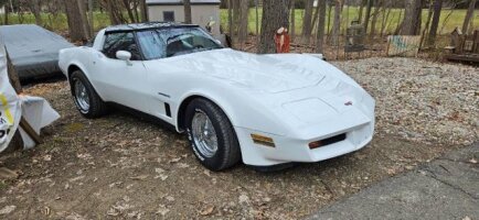 Photo 1 for 1982 Chevrolet Corvette