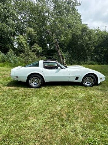 Photo 1 for 1982 Chevrolet Corvette