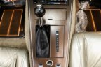 Thumbnail Photo 4 for 1982 Chevrolet Corvette