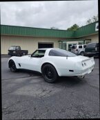 Thumbnail Photo 2 for 1982 Chevrolet Corvette Coupe