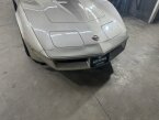 Thumbnail Photo 6 for 1982 Chevrolet Corvette