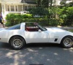 Thumbnail Photo 2 for 1982 Chevrolet Corvette Coupe for Sale by Owner
