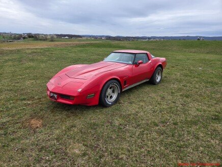 Photo 1 for 1982 Chevrolet Corvette