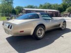 Thumbnail Photo 3 for 1982 Chevrolet Corvette