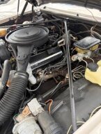 Thumbnail Photo 1 for 1982 Chevrolet Corvette