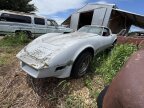 Thumbnail Photo 1 for 1982 Chevrolet Corvette Stingray