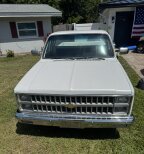 Thumbnail Photo 1 for 1982 Chevrolet Other Chevrolet Models for Sale by Owner