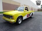 Thumbnail Photo 2 for 1982 Chevrolet S10 Pickup 2WD Regular Cab