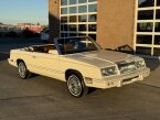 Thumbnail Photo 1 for 1982 Chrysler LeBaron Medallion Convertible