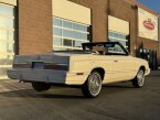 Thumbnail Photo 2 for 1982 Chrysler LeBaron Medallion Convertible
