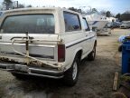 Thumbnail Photo 3 for 1982 Ford Bronco