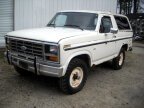 Thumbnail Photo 2 for 1982 Ford Bronco