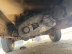 Thumbnail Photo 3 for 1982 Ford Bronco XLT