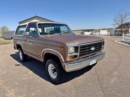 Photo 1 for 1982 Ford Bronco XLT