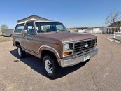 1982 Ford Bronco XLT