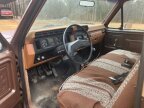 Thumbnail Photo 4 for 1982 Ford F100
