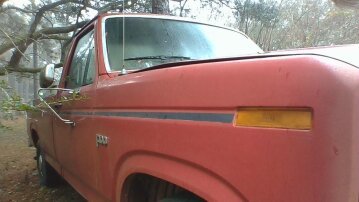 1982 Ford F100