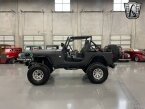 Thumbnail Photo 3 for 1982 Jeep CJ 7