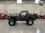 Thumbnail Photo 3 for 1982 Jeep CJ 7